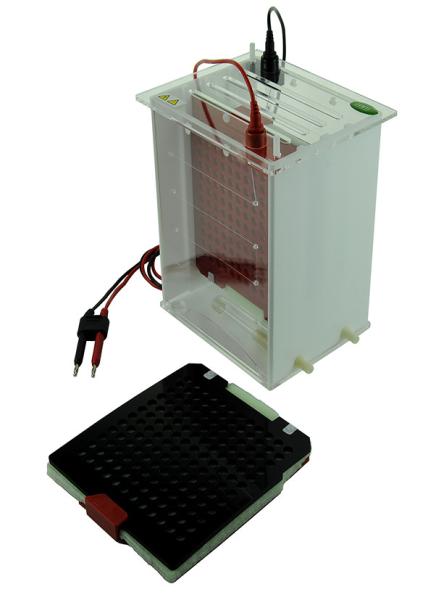 2.3 Kg Vertical Electrophoresis Apparatus JY-ZY2 Tank Transfer System