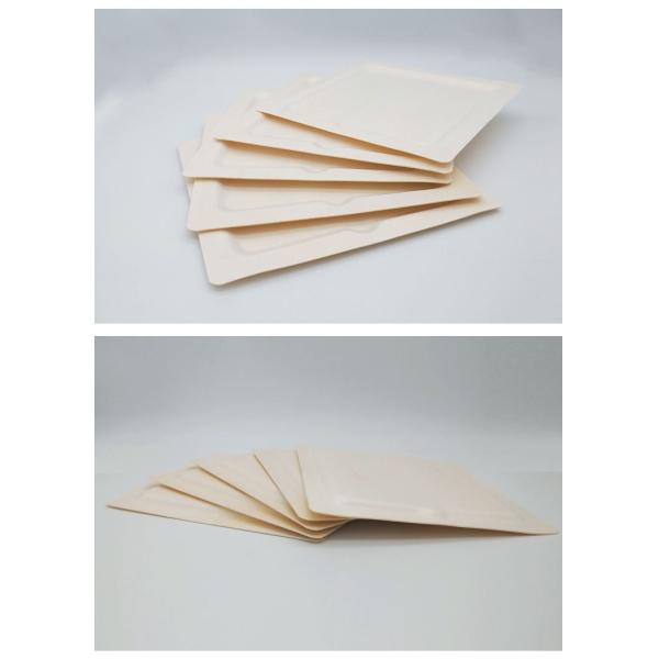 6 Inch To 10 Inch Disposable Sushi Plates 25pcs Per Bag