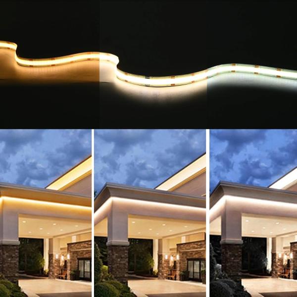 560LEDs COB LED Strip 90 CRI CCT Flexible COB 3M With Adapter And Mini RF Controller