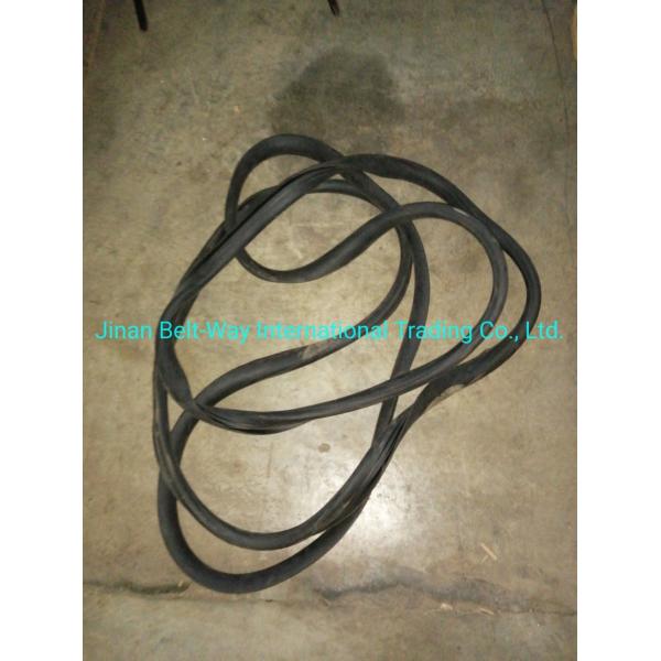 Sinotruk HOWO Truck Parts Windshield Sealing Rubber Wg1642710002 Standard