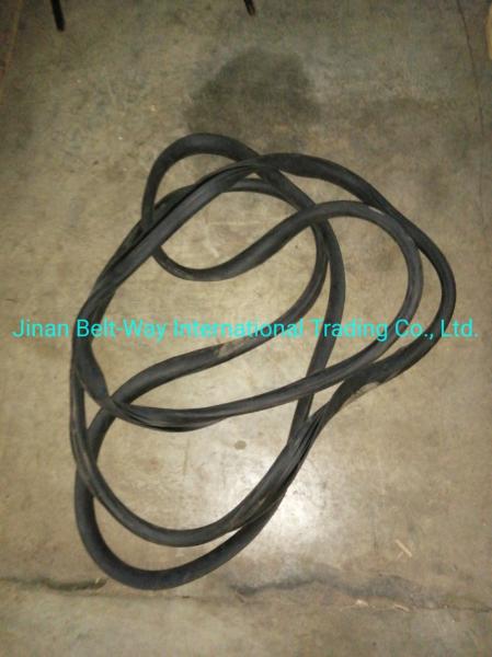 Sinotruk HOWO Truck Parts Windshield Sealing Rubber Wg1642710002 Standard Competitive