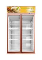 Visi Chiller Geladeira de bebidas comercial 5 prateleiras Descongelamento automático