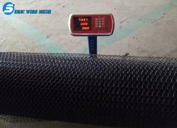 Dingzhou Factory, Hexagonal Wire Mesh, Chicken Wire Mesh
