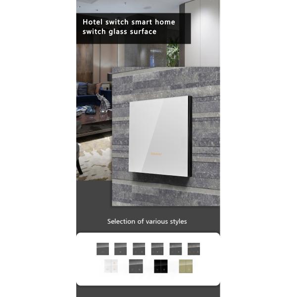 Smart RS485 Programmable Wall Switch Digital Push Button Tact Switch