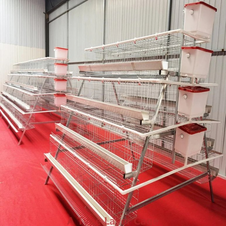 A Shaped Structure Chicken Egg Laying Cages 3-4 Tiers For Poultry Farming
