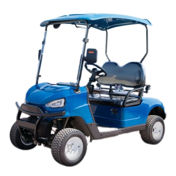  Second Hand 2 Seats Electric Cheap Low Speed Utility Golf Carts for Sale