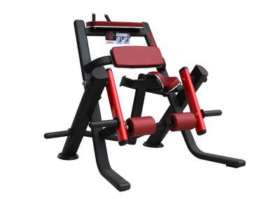 A placa de rolamentos de Impotred carregou máquinas do Gym, máquina carregada placa da imprensa do pé