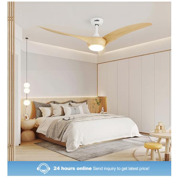 Logotipo OEM 1stshine 54 