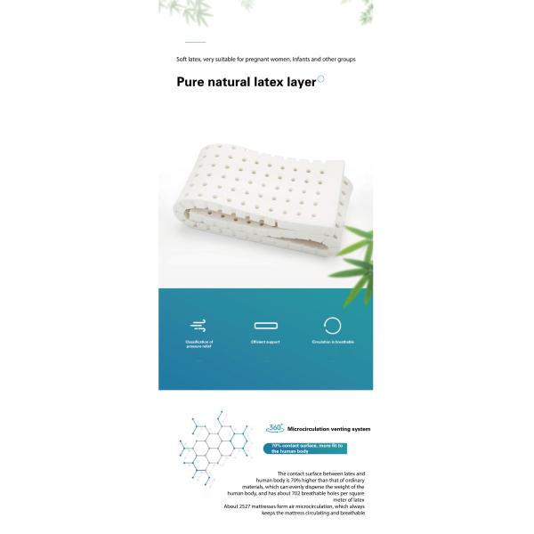 JOURM Pure Natural Latex Layer Hollow Three-Dimensional Structure for Airflow Comfort