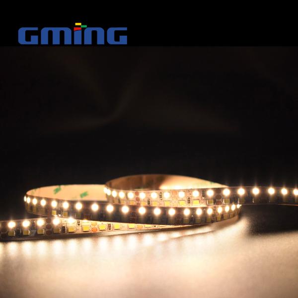 Low Voltage Bright 5050 LED Strip Light 12/24V Double Row Tricolor Light