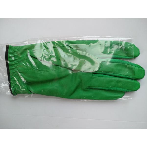 golf glove , golf gloves , glove , gloves