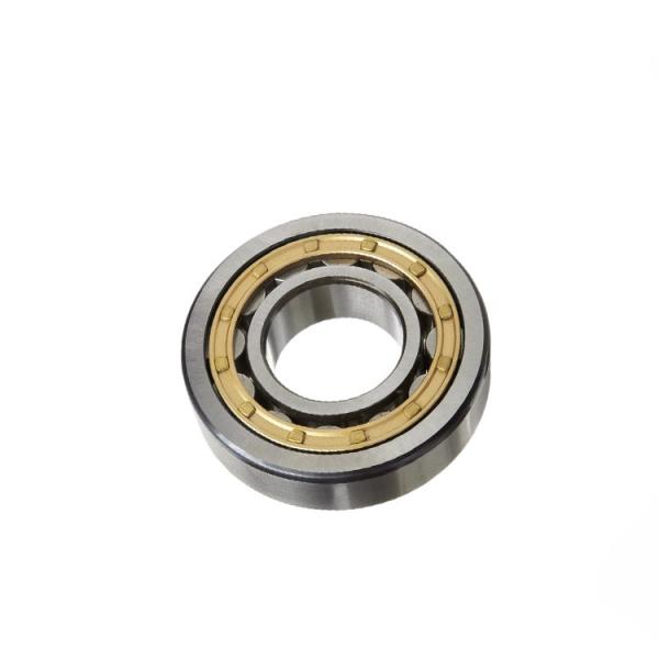 N Type Cylindrical Roller Bearing N202 NU202 NF202 NJ202 Nu 202 Bearing 15x35x11mm
