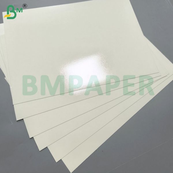 PET Coating Dining Plate Paper Material White Color Food Tray Paper