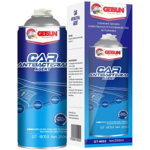 Sterilized Car Air Conditioner Cleaner Antibacterial Agent Odor Remover 250ml