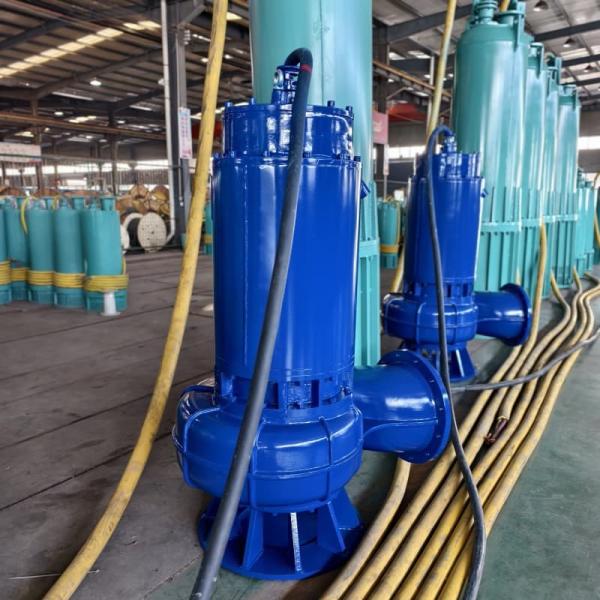 Industrial Wastewater High Head Submersible Pump 315kW 100m³/H 550m High Lift  WQN Series