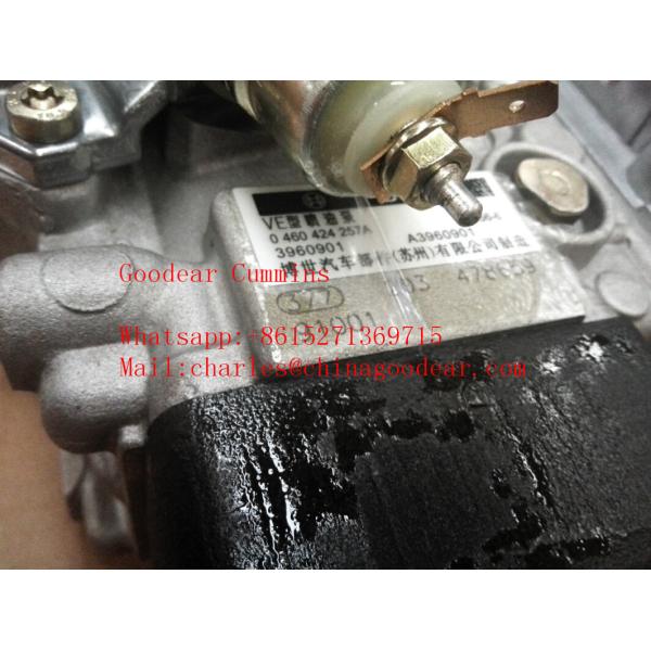 Dongfeng  4BT diesel engine fuel injection pump 3960901
