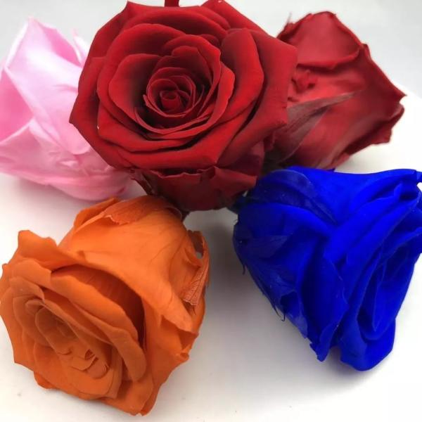 Wholesale preserved rose flower boxes from ecuador farm New year gift