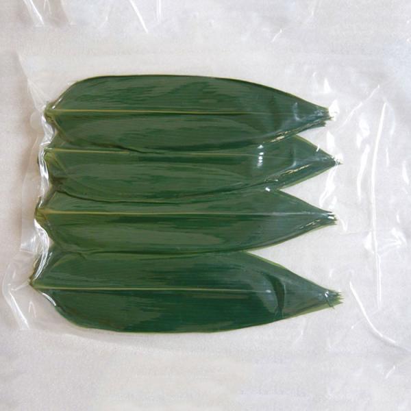 Wholesale Fresh Bamboo Leaf Leaves