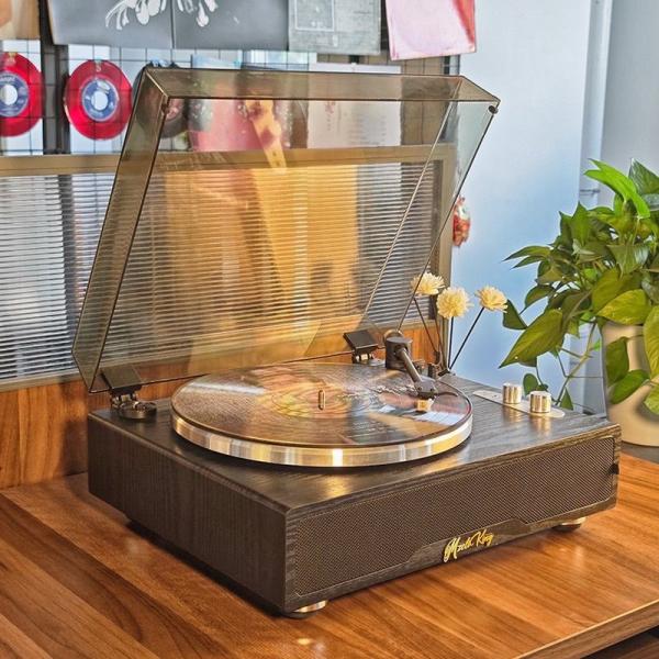 Vinyl Record Player Bluetooth Speaker Vintage Wooden Gramophone Bluetooth Speaker
