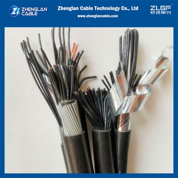 450/750V Copper XLPE Insulated Control Cable - Shielded PVC Sheathed Control Cable for Industrial Automation