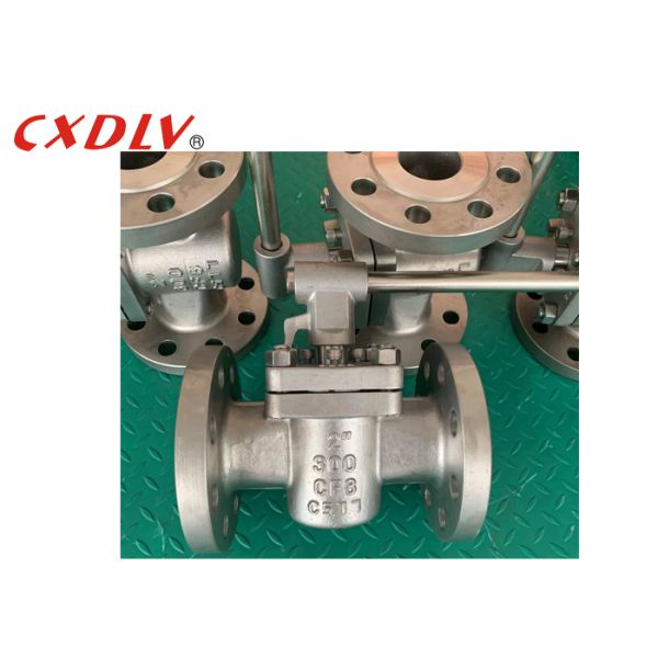 Two-Way Sleeved Plug Valve CF8 Body with Worm Gear Operation 4 Inch 150LB RF Connection