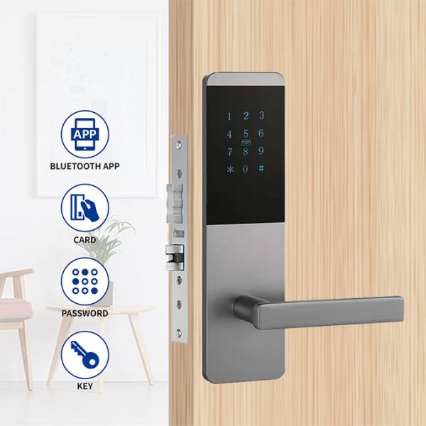 Cerradura de puerta inteligente digital WiFi con tarjeta de código de contraseña Tuya TTlock App Keyless Smart Locks