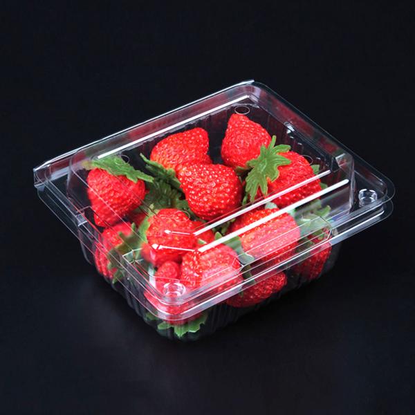 Fresh Vegetable / Fruit Biodegradable Plastic Packaging Transparent Glossy Lamination