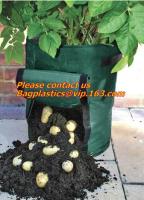 o plantador da batata com o plantador da batata de 7/10 de galão, batata cresce potenciômetros com punhos bate para havesting fácil, e furos da drenagem