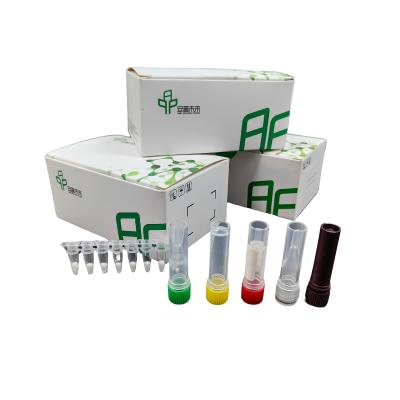 High Sensitivity RNA Amplification With Improved Detection Isothermal Kit