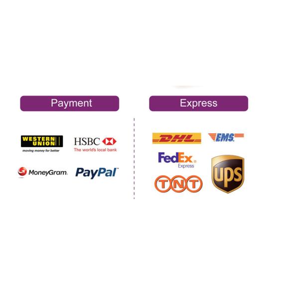 Brass Stamped Hard Enamel Karate Medals , Customized Swimming Awards Taekwondo Medals