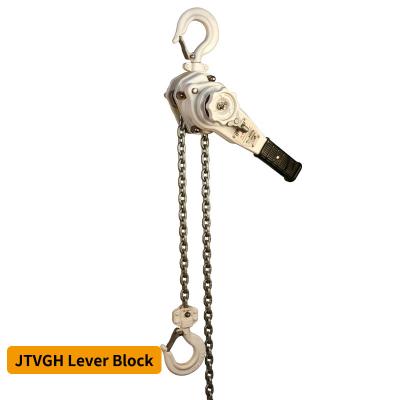 Levier de levage résistant à la corrosion 2 tonnes