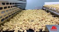 1000 patata continua Chip Granola Production Line del Kg/H 220V