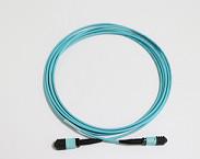High Stability OM4 MTP Fiber Optical Patch Cord For 40G Networks