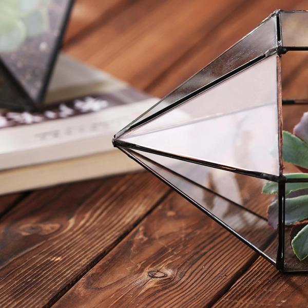 Vaso de vidro claro dado forma diamante, vasos geométricos duráveis do vidro do Terrarium
