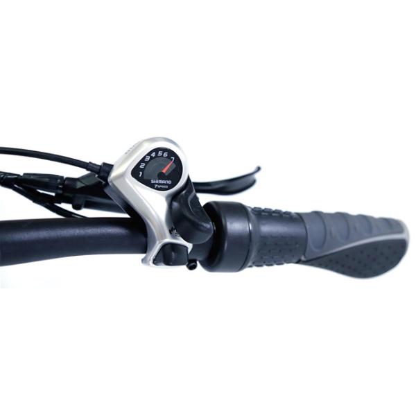 Black Color Battery Electric Folding Bike 8fun Rear Brushless Geared Motor