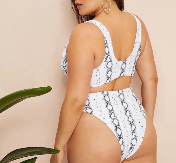 2019 New Plus SizeTwo piece  Swimsuit Women Push up