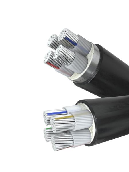 Standard Copper XLPE Insulated Power Cable with PVC PE Jacket YJV YJLV YJLV22 YJV22