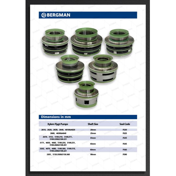 ISO9001-2015 Certified Replace Flygt FQL-60mm Pump Mechanical Seal with Tungsten Carbide TC Lower Seal