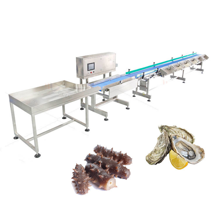Save Labor Automatic Conveyor Belt Type Chicken Seafood Weight Sorting Grading Machine Shrimp Grading Machine for Small Business