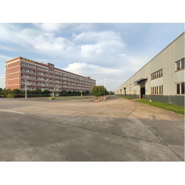 Convenient Dried Medical Leeches Versatile For Nutraceutical Biomedical Applications