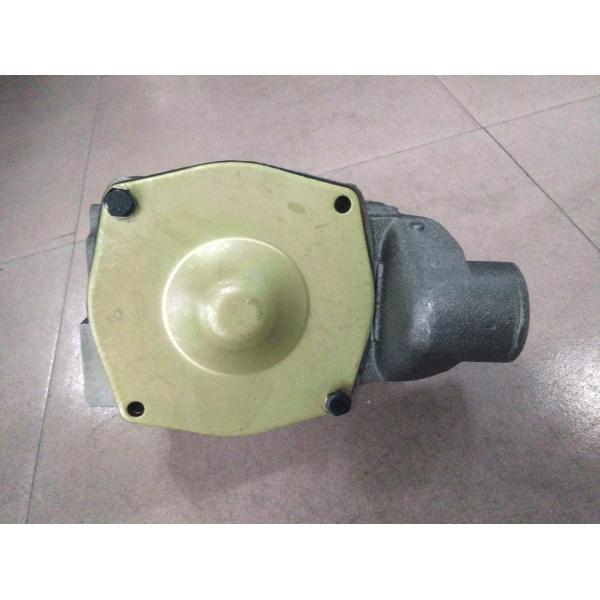 Standard Excavator 3306 2W8001 Diesel Engine Water Pump