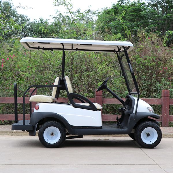 2 Seats Front Electric Golf Carts 5KW AC Asynchronous Motor 48V Lithium Battery