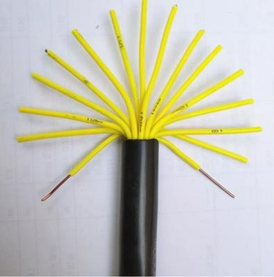 Multi Conductor And Versatile Control Cable For Automation And Instrumentation