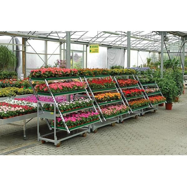 тележка завода датских полок вагонетки 3 цветка 500kgs на открытом воздухе с колесами