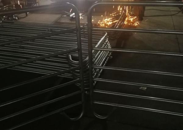 OEM Pre - Galvanized Cattle Yard Fence Panels , Metal Farm Fence Panels