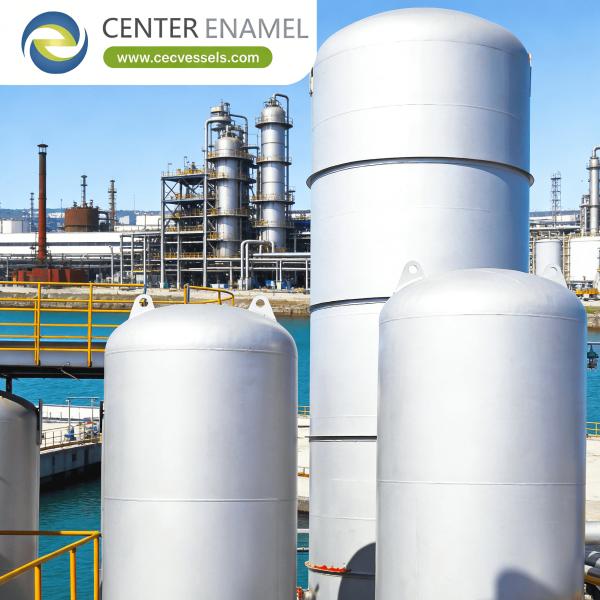 Stainless Steel Gas Boiler Heat Exchanger with Customized Size and 0.1-10 Mpa Design Pressure