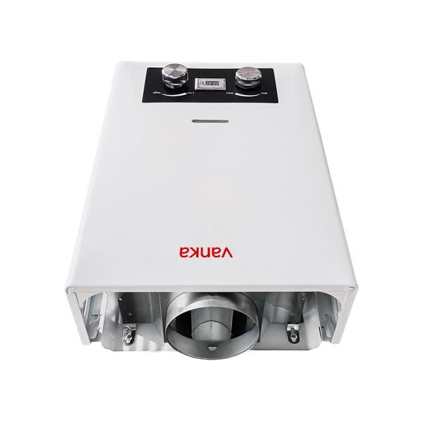 6L Flue Gas Water Heater Home Shower Tankless