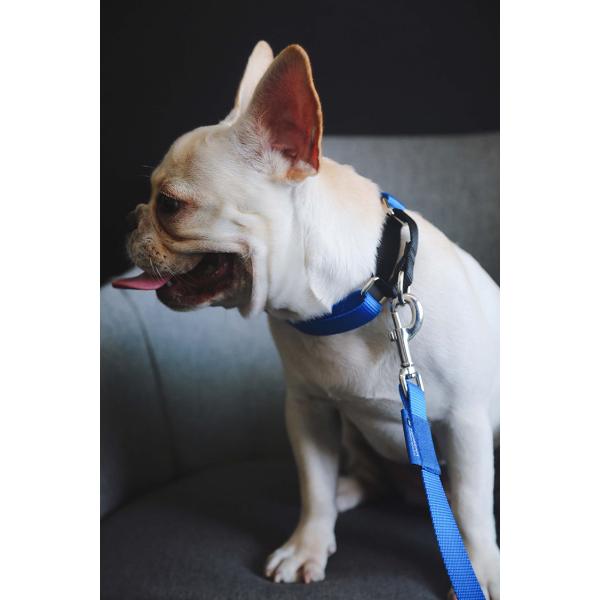 Nylon Heavy Duty Dog Pet Harness Collar Adjustable Padded Reflective Reversible Dog Collar