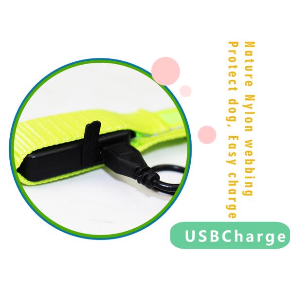 Luminous Waterproof LED Dog Collar Christmas Use Small Flashing