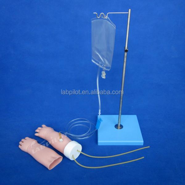 Medical Science Subject Portable Venipuncture Training Arm Model with Replaceable Skin